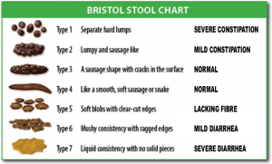 cat diarrhea Bristol Stool Chart