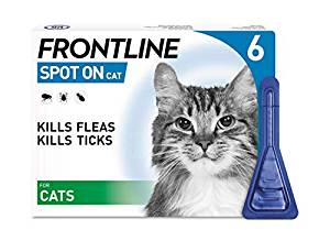cat flea treatment 