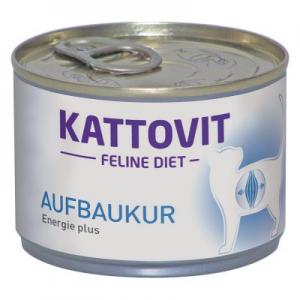 how to make a cat gain weight kattovit 