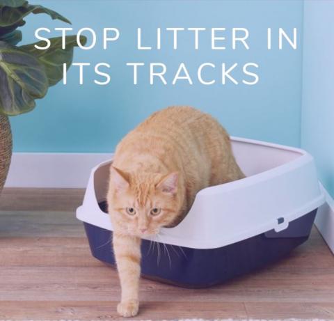 Litter tracking tips