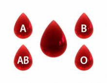 Feline blood groups neonatal isoerythrolysis